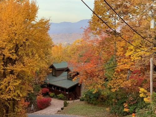 Alpine Ski Lodge, 2 Bedrooms, Sleeps 6, Near Ober Gatlinburg, Hot Tub