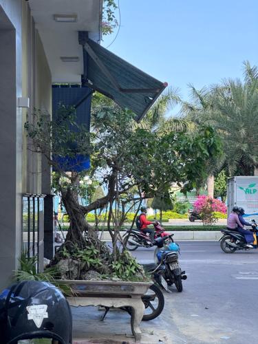 HAKU HOME Mini Apartments & Homestay - 주변 환경