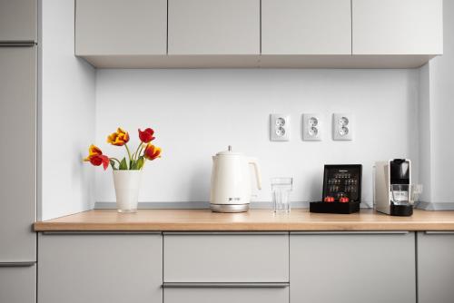 Spacious ultracentral apartment - image 14