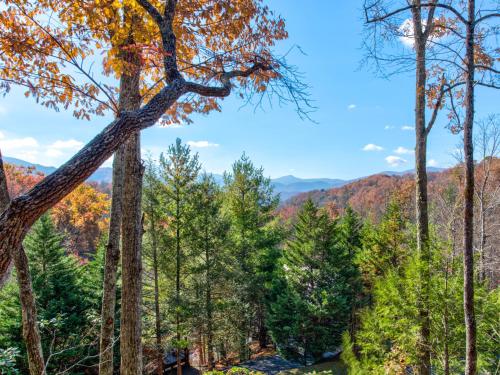 Cub’s Corner 3 Bedrooms Pool Access Hot Tub Pool Table Sleeps 10 - image 11