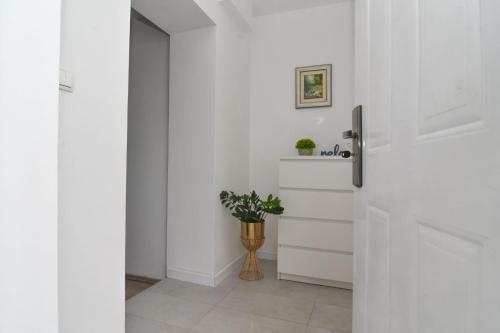 Apartman Gluić