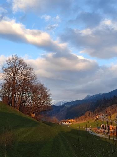 Rieserhof/Fam. Meißnitzer