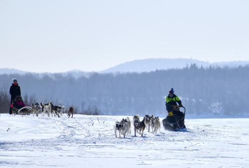 Camp Taureau - Altaï Canada