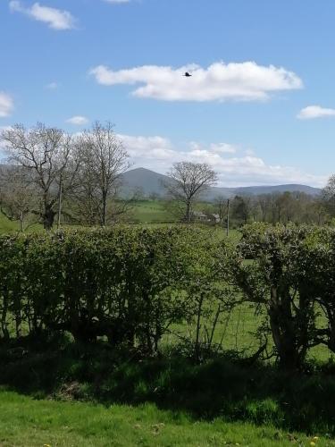 Lakes and Eden Valley. Thornhill Cabin