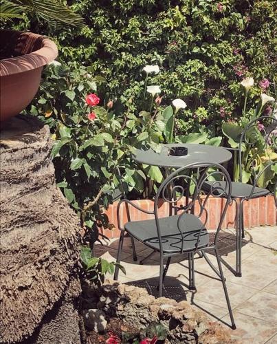 Hotel Villa Igea - image 14