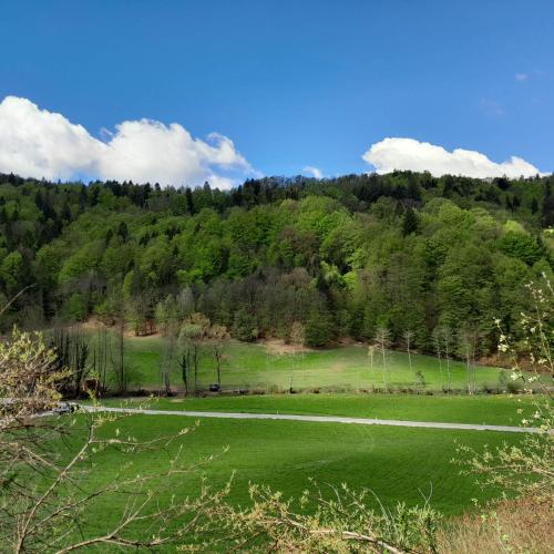 Nice Apartment near by Capital of Slovenia, Lublaň (fotografie 9)