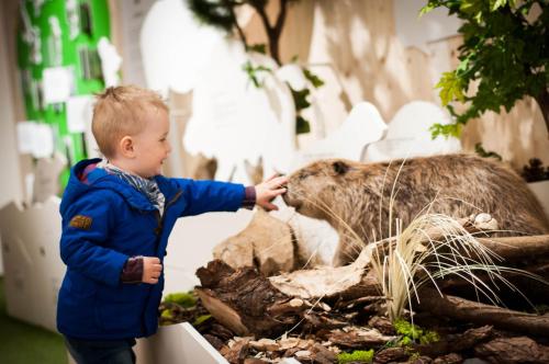 Apartamenty Bukowiec Folwark i Park Apartamenty Bukowiec Folwark i Park