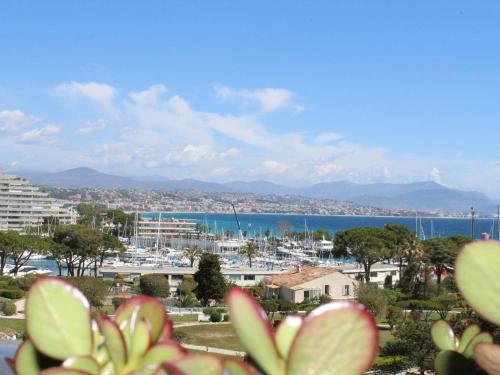 Appartement Villeneuve-Loubet, 3 pièces, 4 personnes - FR-1-252A-55 - Location saisonnière - Villeneuve-Loubet