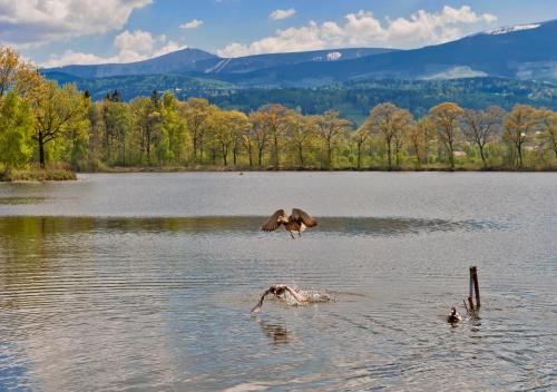 Apartamenty Bukowiec Folwark i Park Apartamenty Bukowiec Folwark i Park