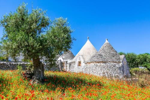 DOMUS OTIUM OSTUNI - Tiny House