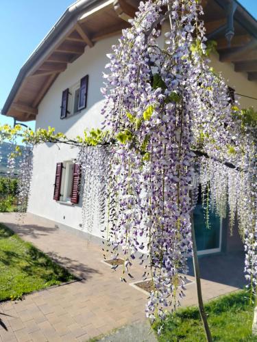 B&B Nave San Rocco - Agritur Lavanda - Bed and Breakfast Nave San Rocco