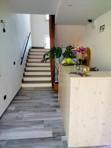  Agritur Lavanda in Nave San Rocco