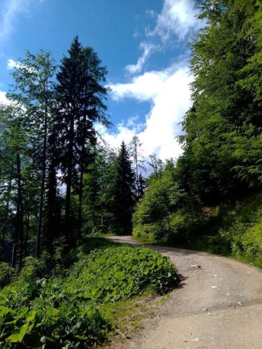 A Cottage in the Alps for hiking, cycling, skiing