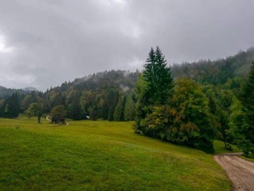 A Cottage in the Alps for hiking, cycling, skiing