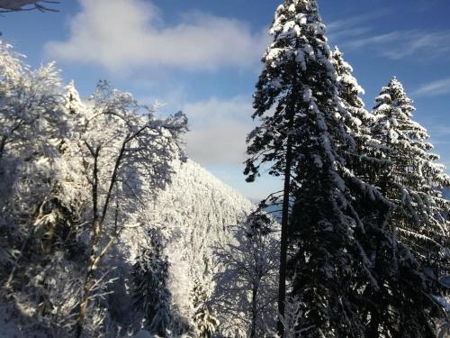 A Cottage in the Alps for hiking, cycling, skiing