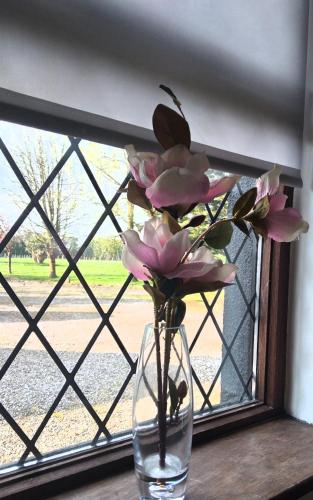 The Wandering Donkey Guest House in Carlow