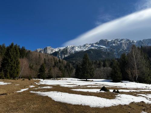Pensiunea Aliart - image 6