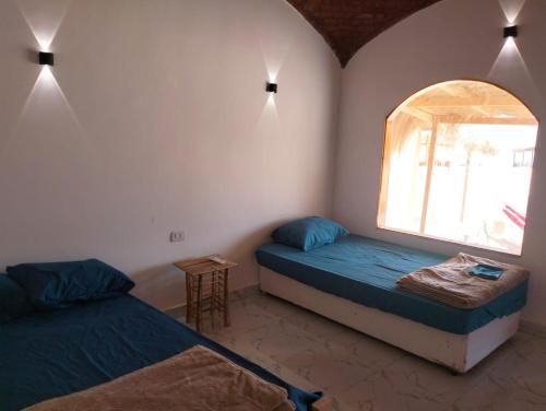 Full Moon Camp Sinai Room Type - Double or Twin Room with Sea View Full Moon Camp Sinai Room Type - Double or Twin Room with Sea View