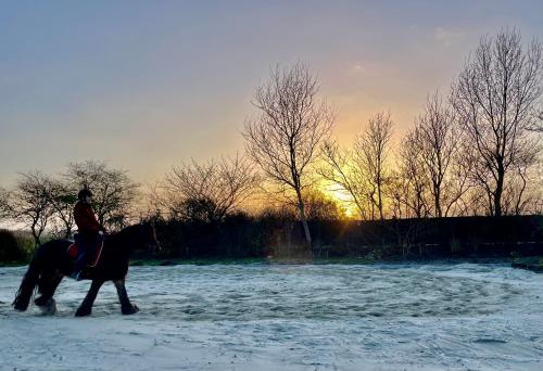 Het Tinkerparadijs, paarden, rust en ruimte.