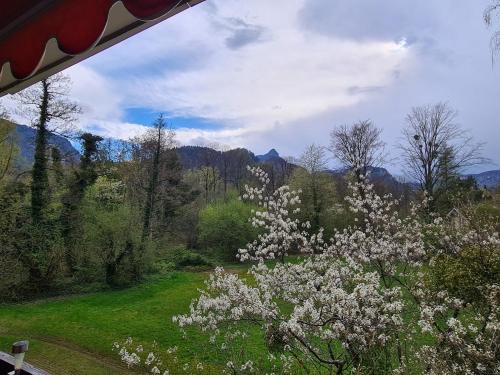 Ferienwohnung Eckl in Bad Reichenhall, Deutschland