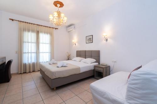 Star Paradise - image 6