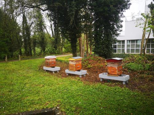 Novotel Senart Golf De Greenparc - image 2