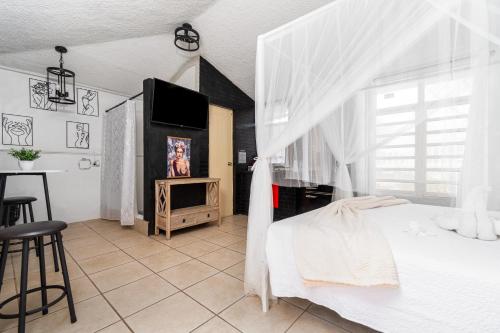ATOAS - Lovely Vacation Retreat with Pool and Barbecue 5 min to Boqueron and Beaches, Cabo Rojo (photo 9)