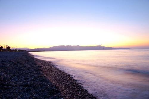 Albatros Hotel - image 12