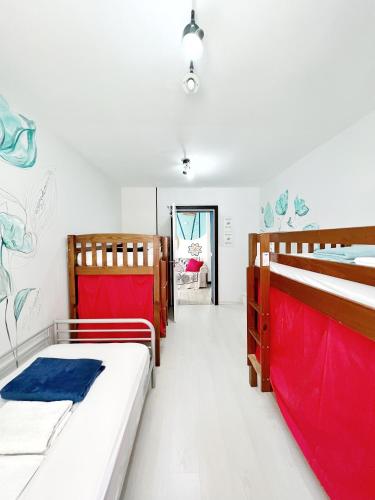 Tenerife Experience Hostel in Tenerife