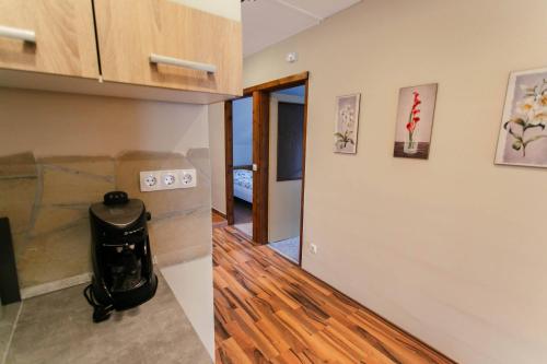 LiBe Apartman, Gyenesdiás (fotografie 8)