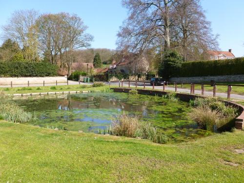 Pond View Cottage