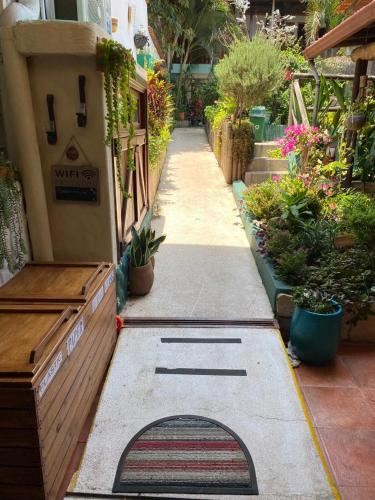 Garden, Posada Nena Santa Ana in Santa Ana