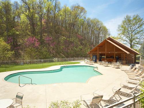 Mountain Flower 4 Bedrooms Hot Tub Pool Sleeps 12 - image 14