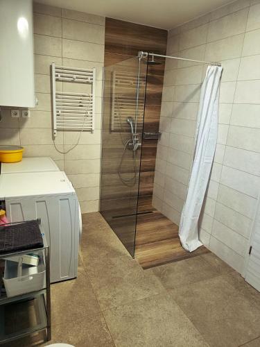 Duş, Green Apartment Cerknica in Cerknica