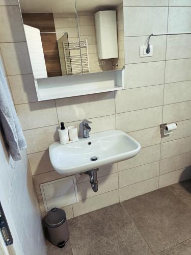 Banyo, Green Apartment Cerknica in Cerknica