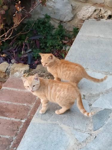 普拉闻卡农家乐