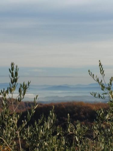 普拉闻卡农家乐