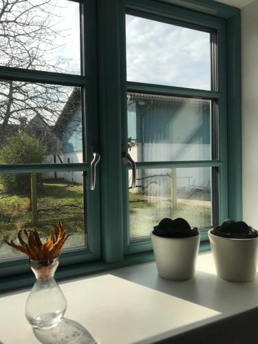Tiny Guesthouse