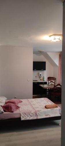 Lider Apartment Ivaylo - image 10
