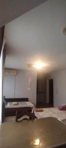 Lider Apartment Ivaylo - image 11