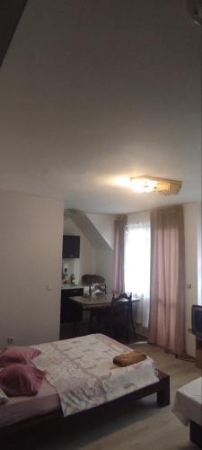 Lider Apartment Ivaylo - image 6