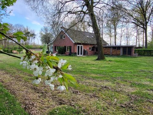  Boshoes, Pension in Heythuysen bei Ospel