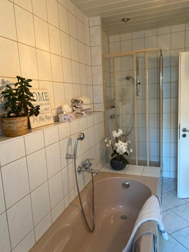 Duša, Ferienwohnung Luzi am Radweg Kanonenbahn in Kullstedt
