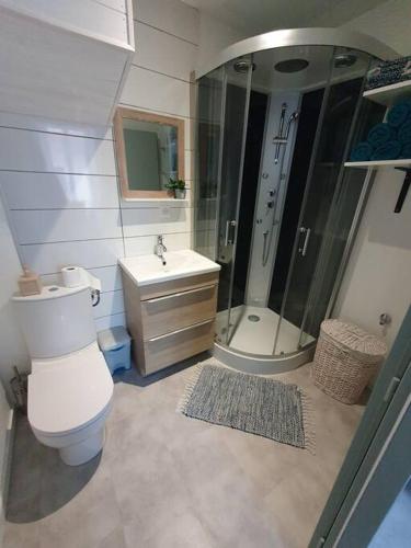 Roanne centre, appartement refait à neuf., Roanne (fotografie 5)