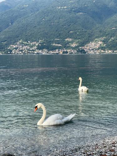 A környék, Casa Martina - Lake Como apartment in Dorio