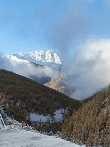 Les Hauts du Roux in Abries
