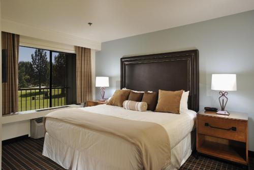 1 king bed, 1 sofa bed