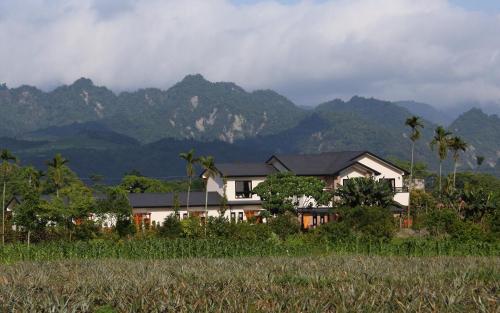 Goldenpaddy B&B