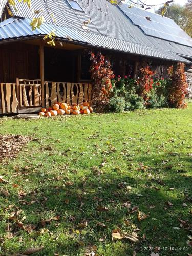agrohaczów zarzeką apartament pod orzechem (agrohaczow zarzeka apartament pod orzechem) in 哈克佐夫
