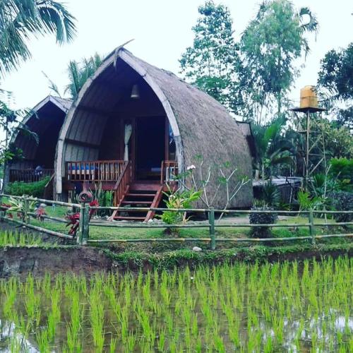 Hakiki Inn Bungalows – Tetebatu, ID